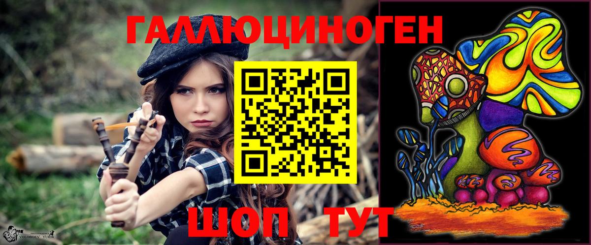 Галлюциногенные грибы Psilocybe Ялта